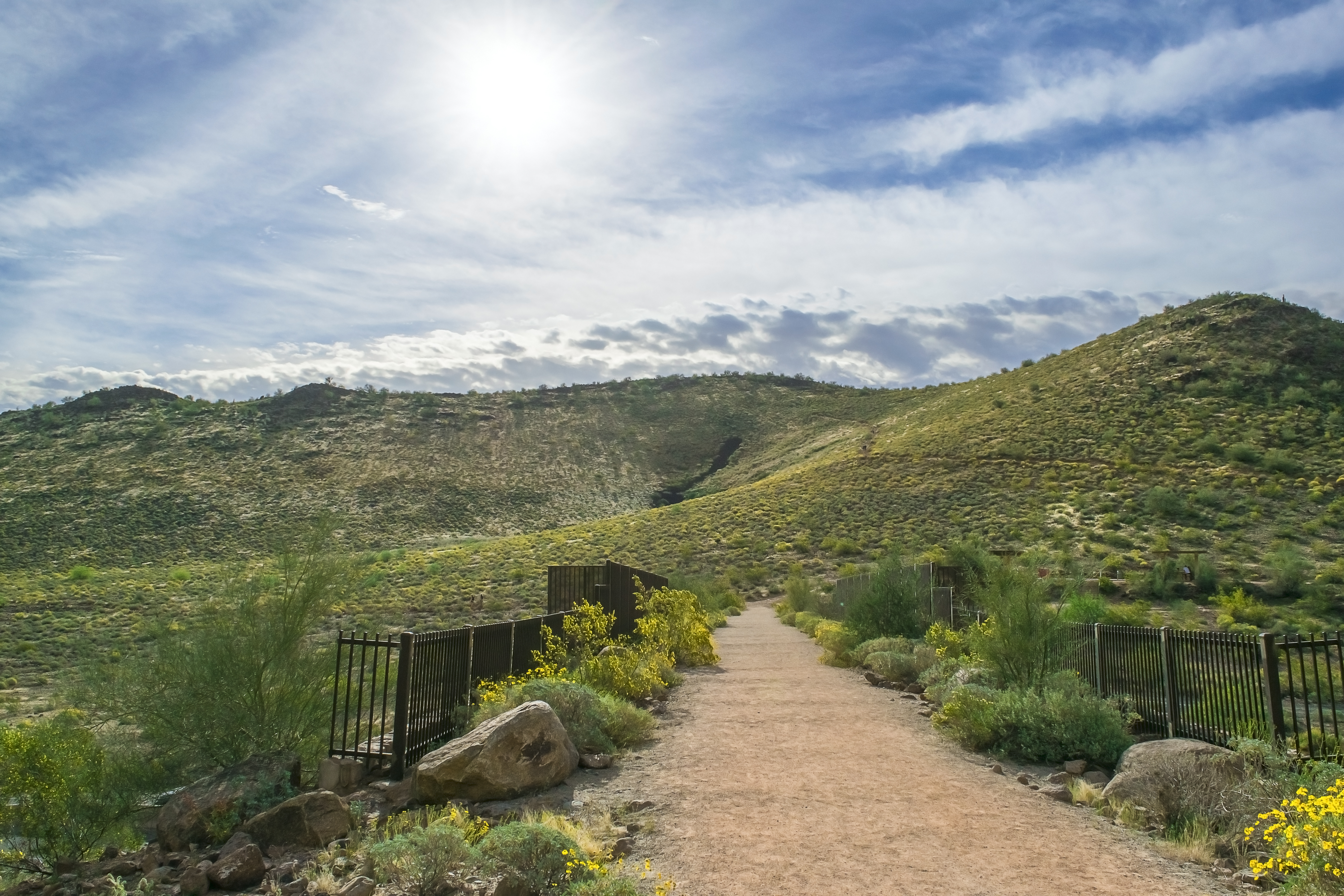 Glendale Shutterstock 708640384